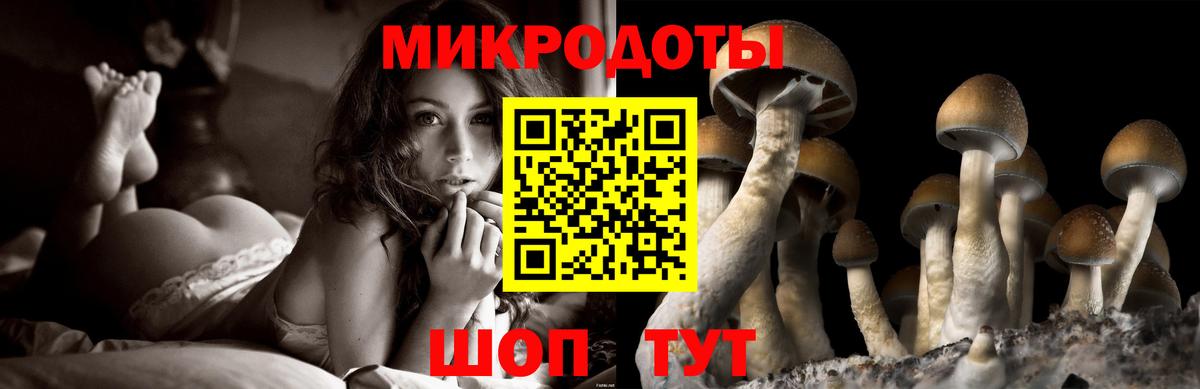 Псилоцибиновые грибы прущие грибы Лабинск